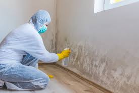 Trinity, TX Mold Removal Company